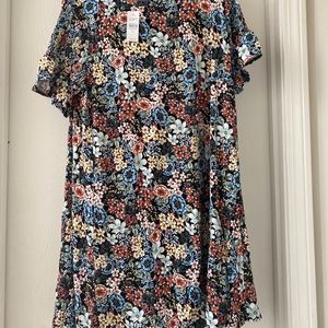NWT Loft swing dress size XL. All season dress.